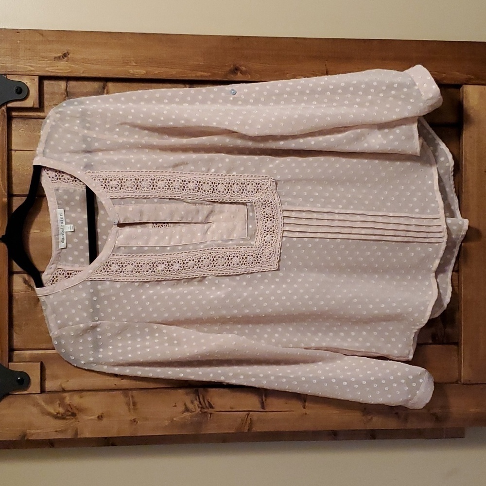 Daniel Rainn Dusty Rose Swiss Dot Sheer Top Size Small